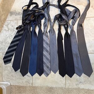 Assorted Men's Ties in Classic Tones